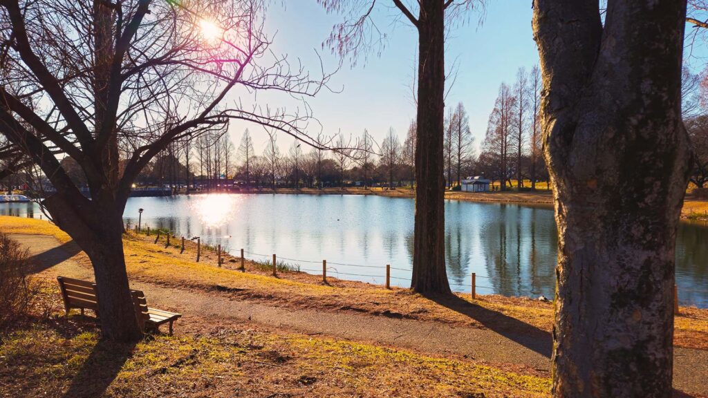 Kawagoe Park