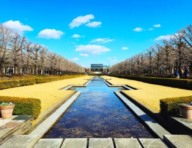 Shōwa Kinen Park