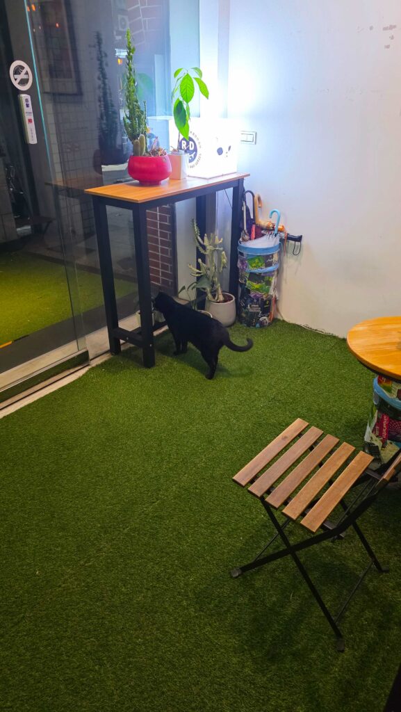 Taiwan - BeerCat - Japanese Craft Beer Bar