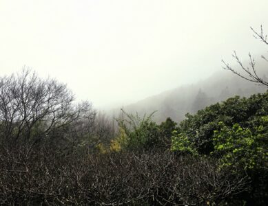 Taiwan – Grasslands  (Mission failed)